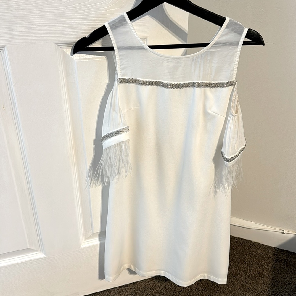 Women Feathered Sleeves embellished Mini Dress